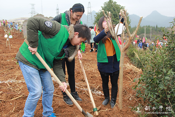 bat365官网积极参与铜仁市“共青林”植树活动