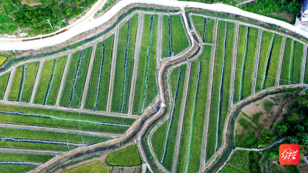 DJI_0093.jpg