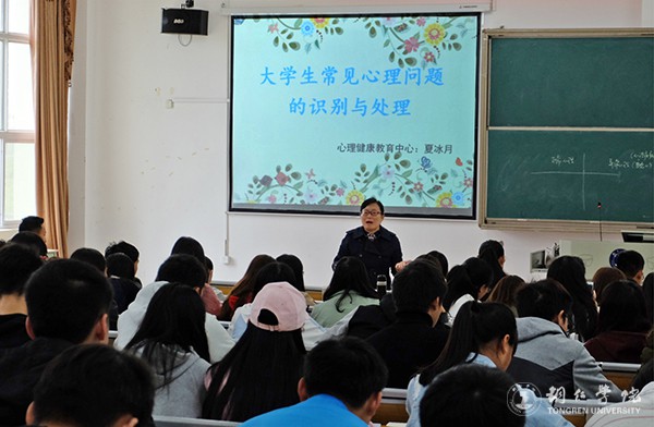 DSCF8426.jpg